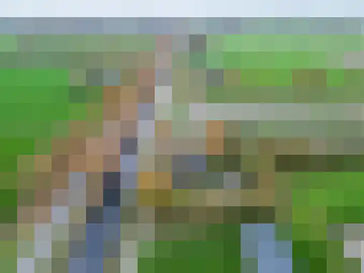 Kromhoek 31 Frieschepalen thumbnail 69