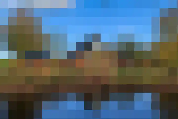 Kromhoek 31 Frieschepalen thumbnail 7