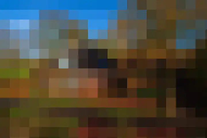 Kromhoek 31 Frieschepalen thumbnail 8