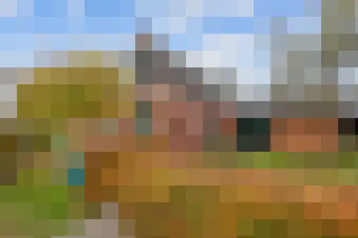 Kromhoek 31 Frieschepalen thumbnail 9