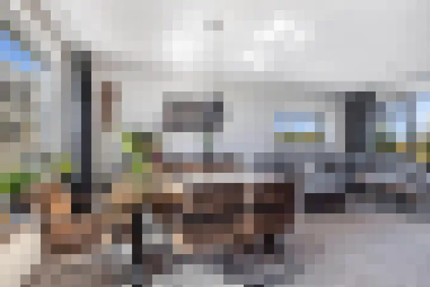 Kromhoek 32 Frieschepalen thumbnail 10