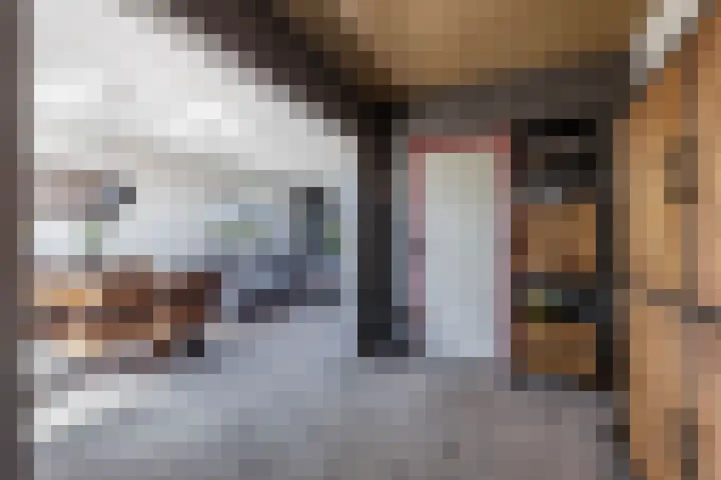 Kromhoek 32 Frieschepalen thumbnail 13