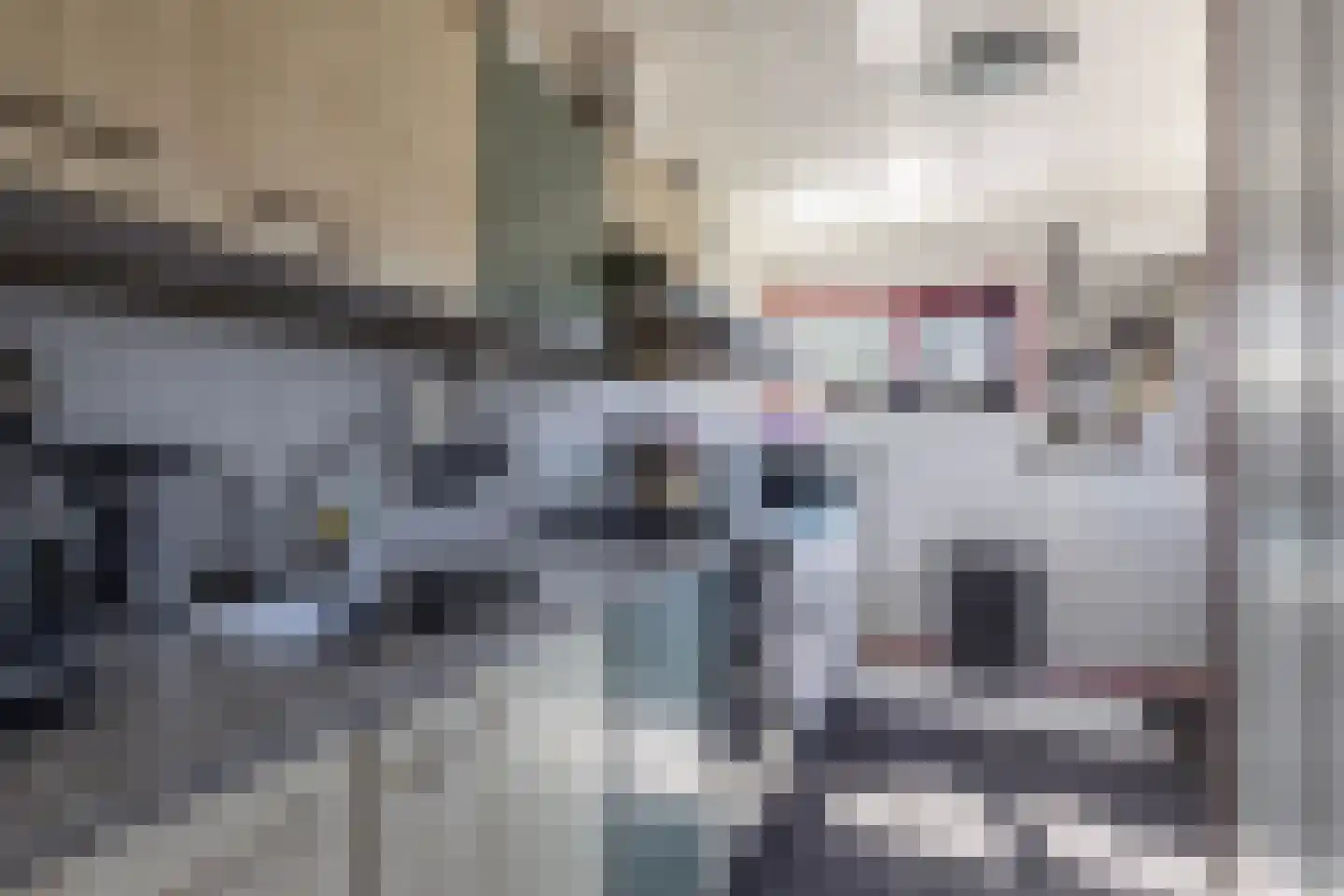 Kromhoek 32 Frieschepalen thumbnail 16