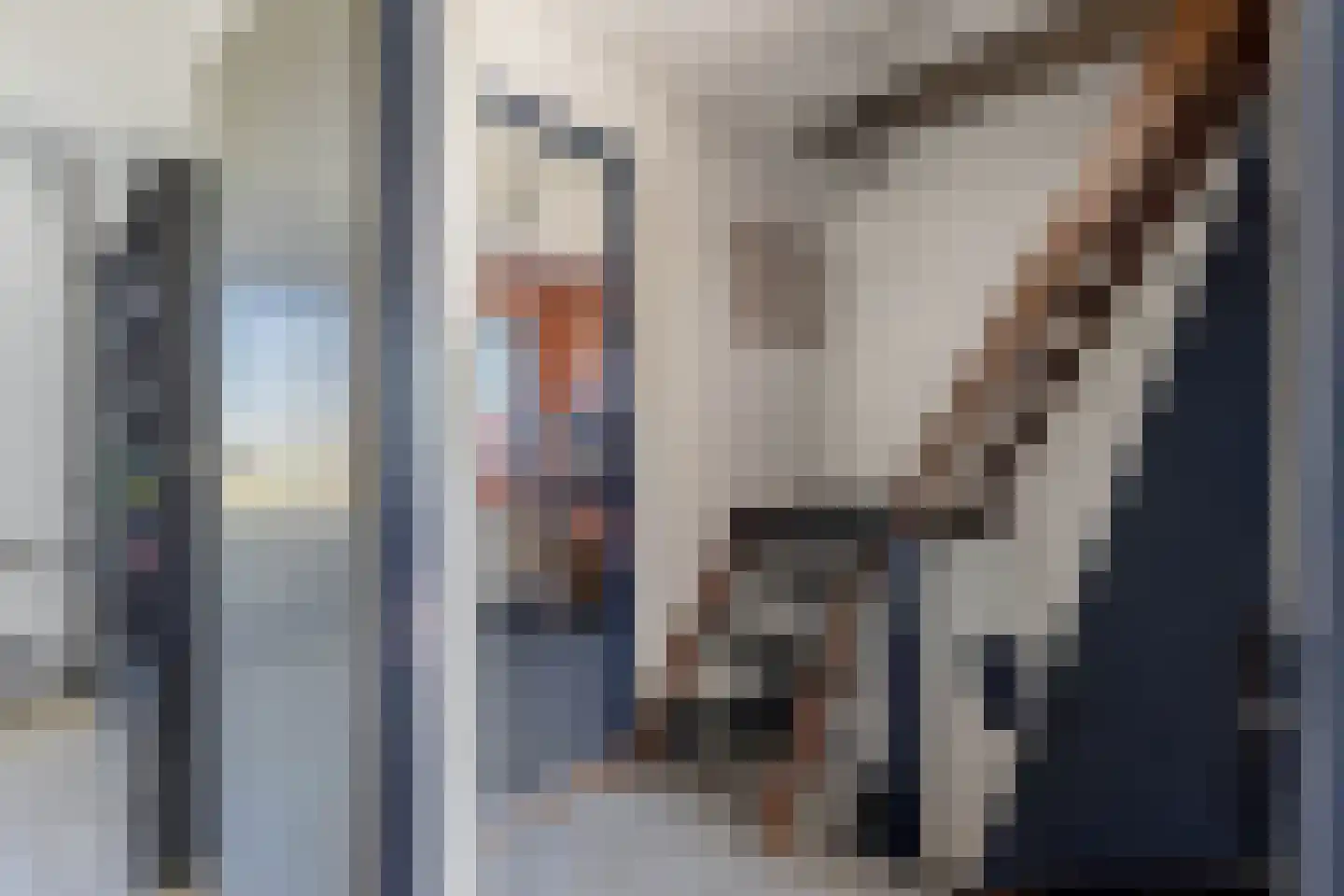 Kromhoek 32 Frieschepalen thumbnail 26