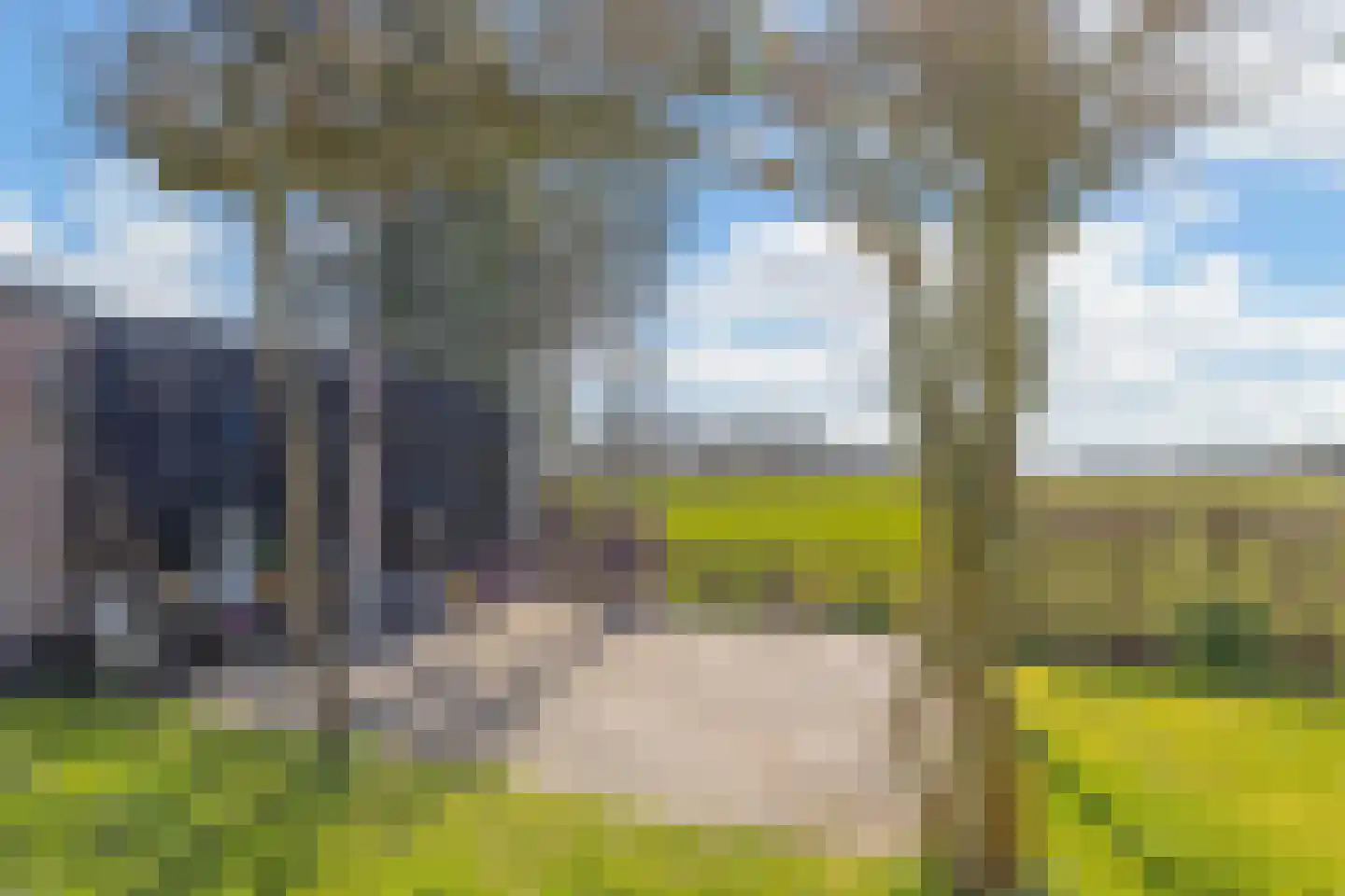 Kromhoek 32 Frieschepalen thumbnail 35