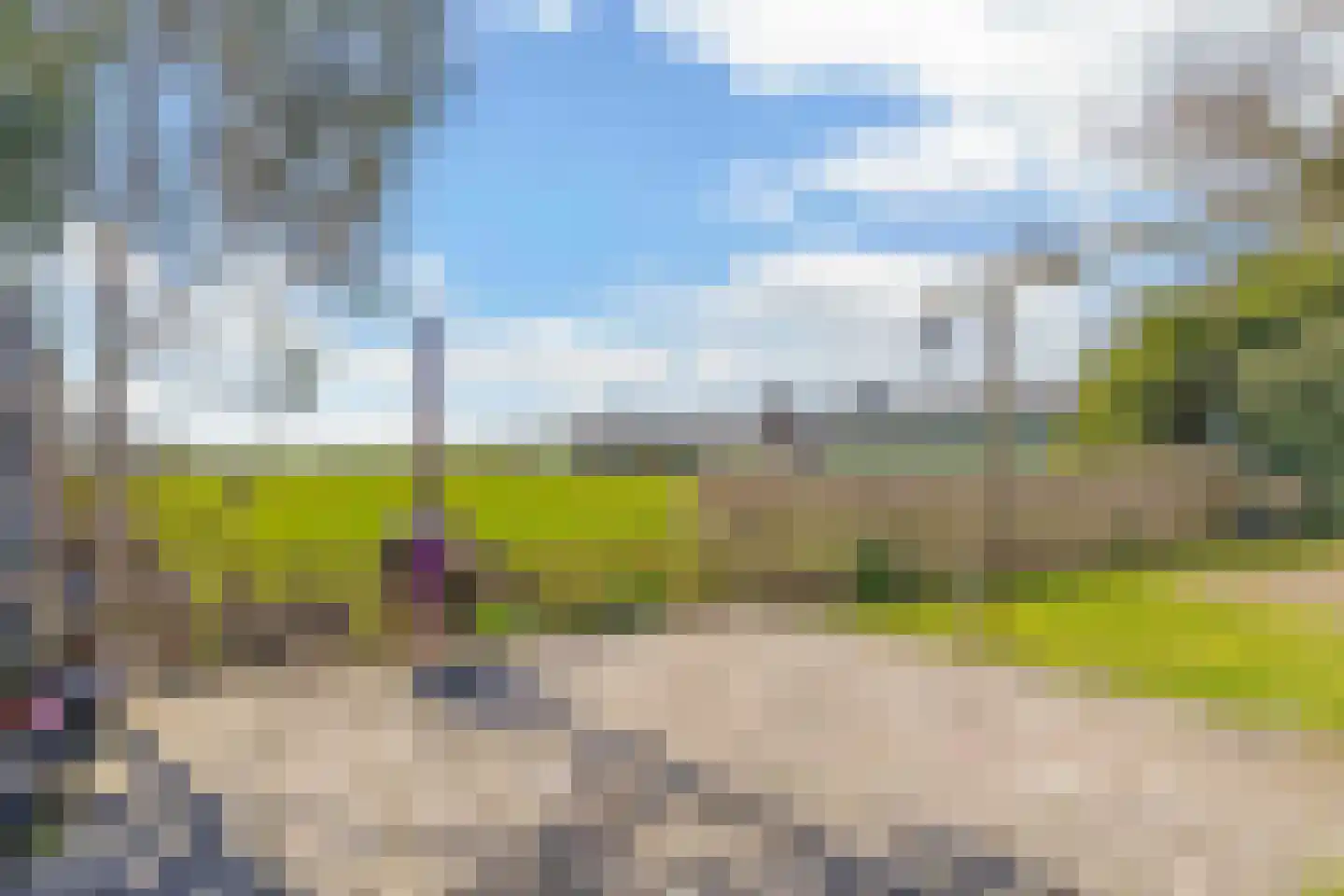 Kromhoek 32 Frieschepalen thumbnail 36