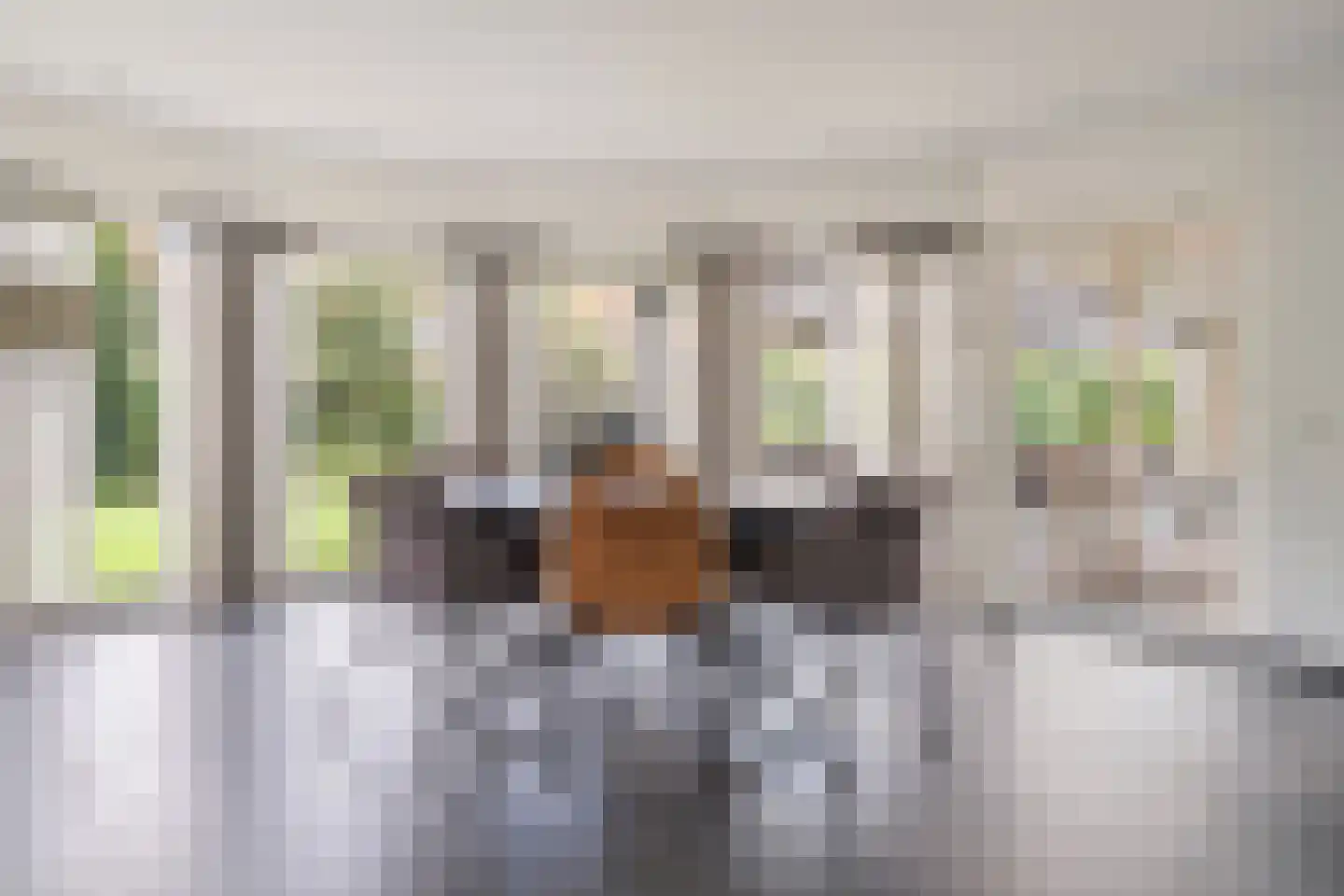 Kromhout 1 Etten-Leur thumbnail 17