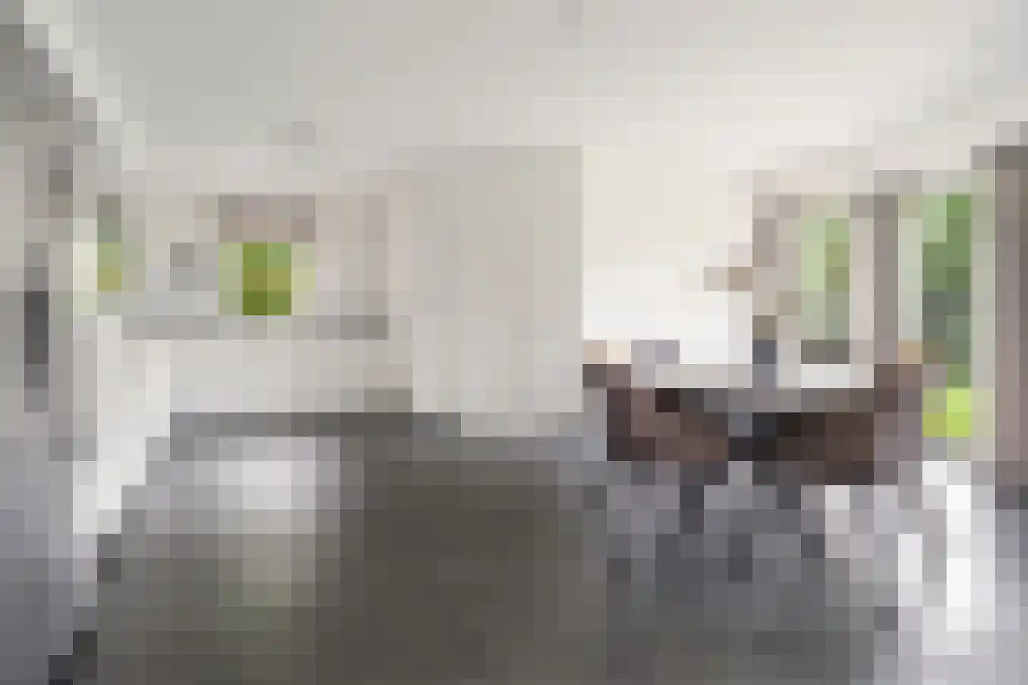 Kromhout 1 Etten-Leur thumbnail 18