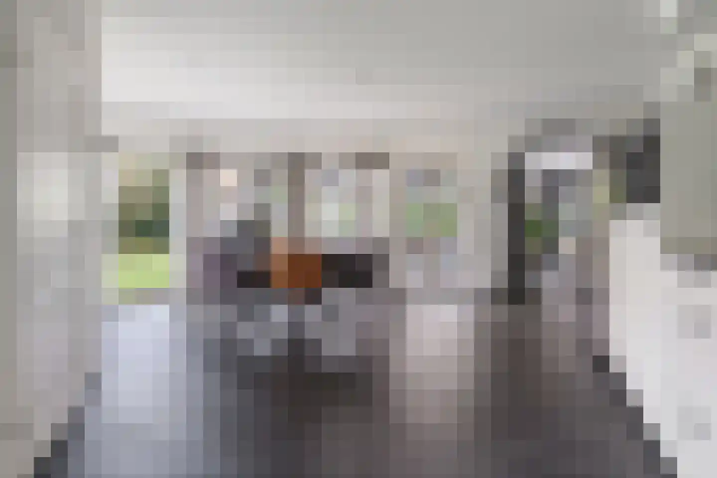 Kromhout 1 Etten-Leur thumbnail 19