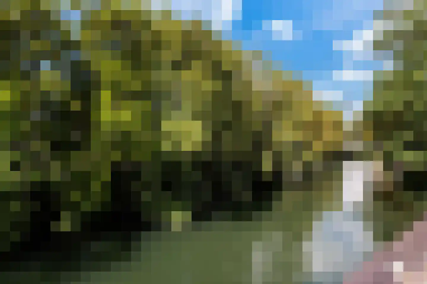 Kromhout 103 Dordrecht thumbnail 42