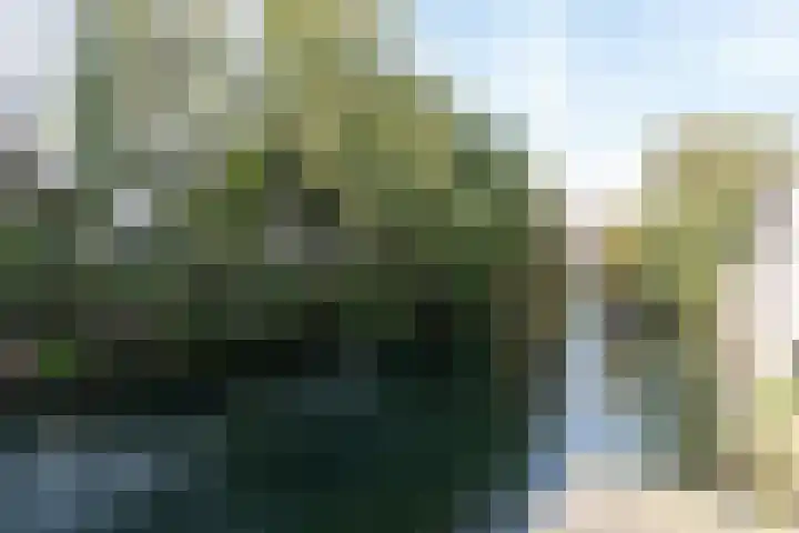 Kromhout 115 Dordrecht thumbnail 15