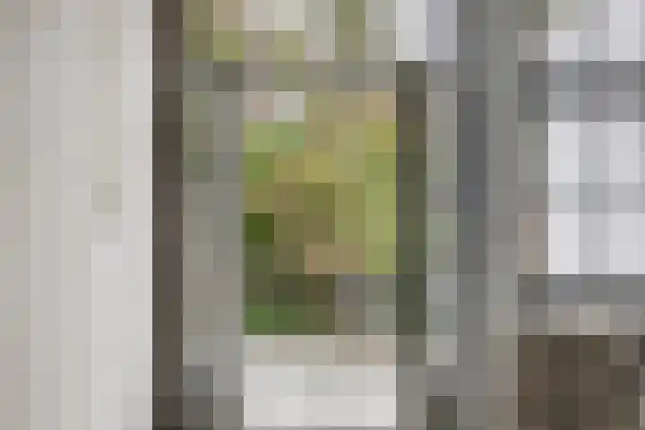 Kromhout 119 Dordrecht thumbnail 12