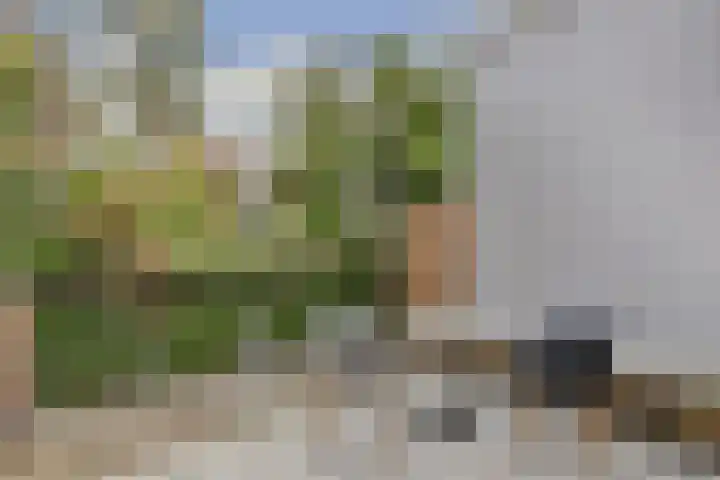 Kromhout 119 Dordrecht thumbnail 15