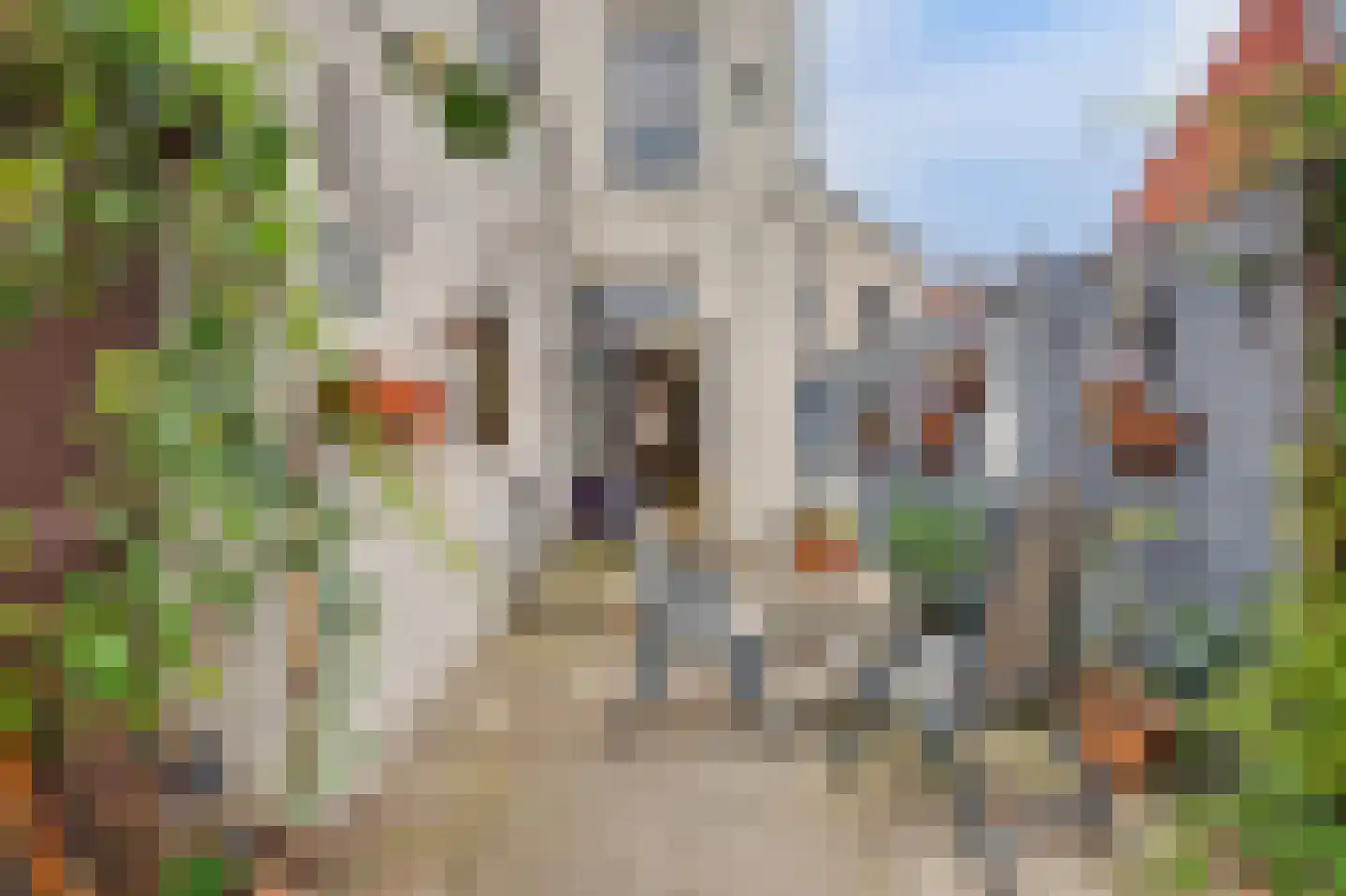 Kromhout 134 Dordrecht thumbnail 31