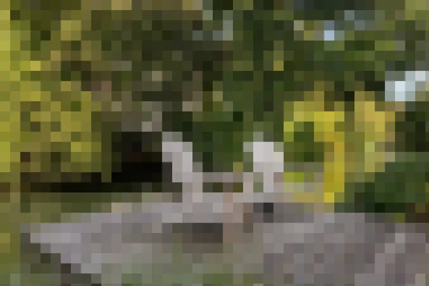 Kromhout 143 A Dordrecht thumbnail 18