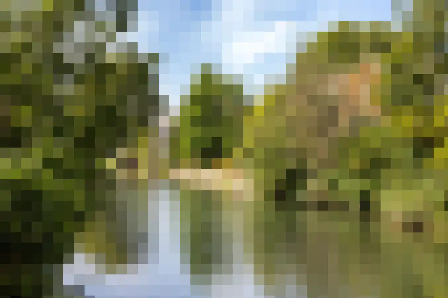 Kromhout 143 A Dordrecht thumbnail 19