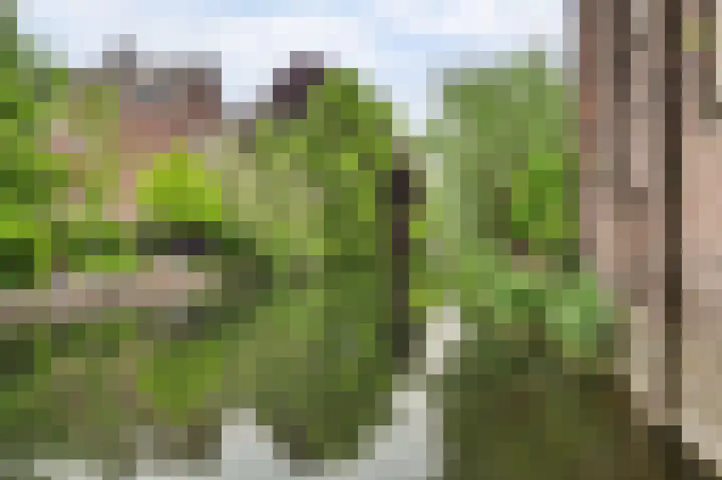 Kromhout 153 Dordrecht thumbnail 43