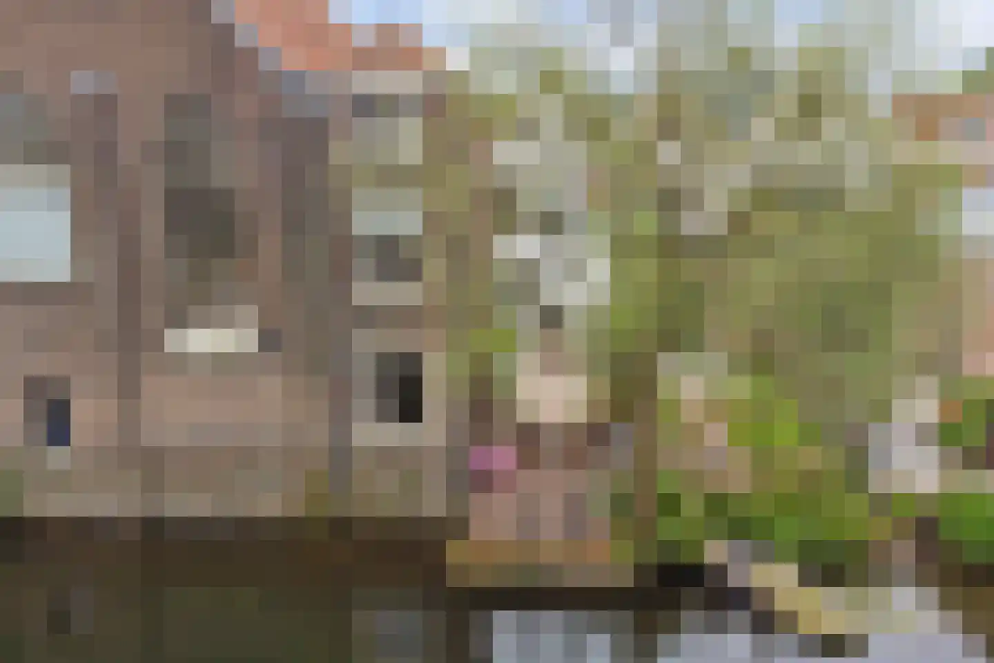 Kromhout 153 Dordrecht thumbnail 54
