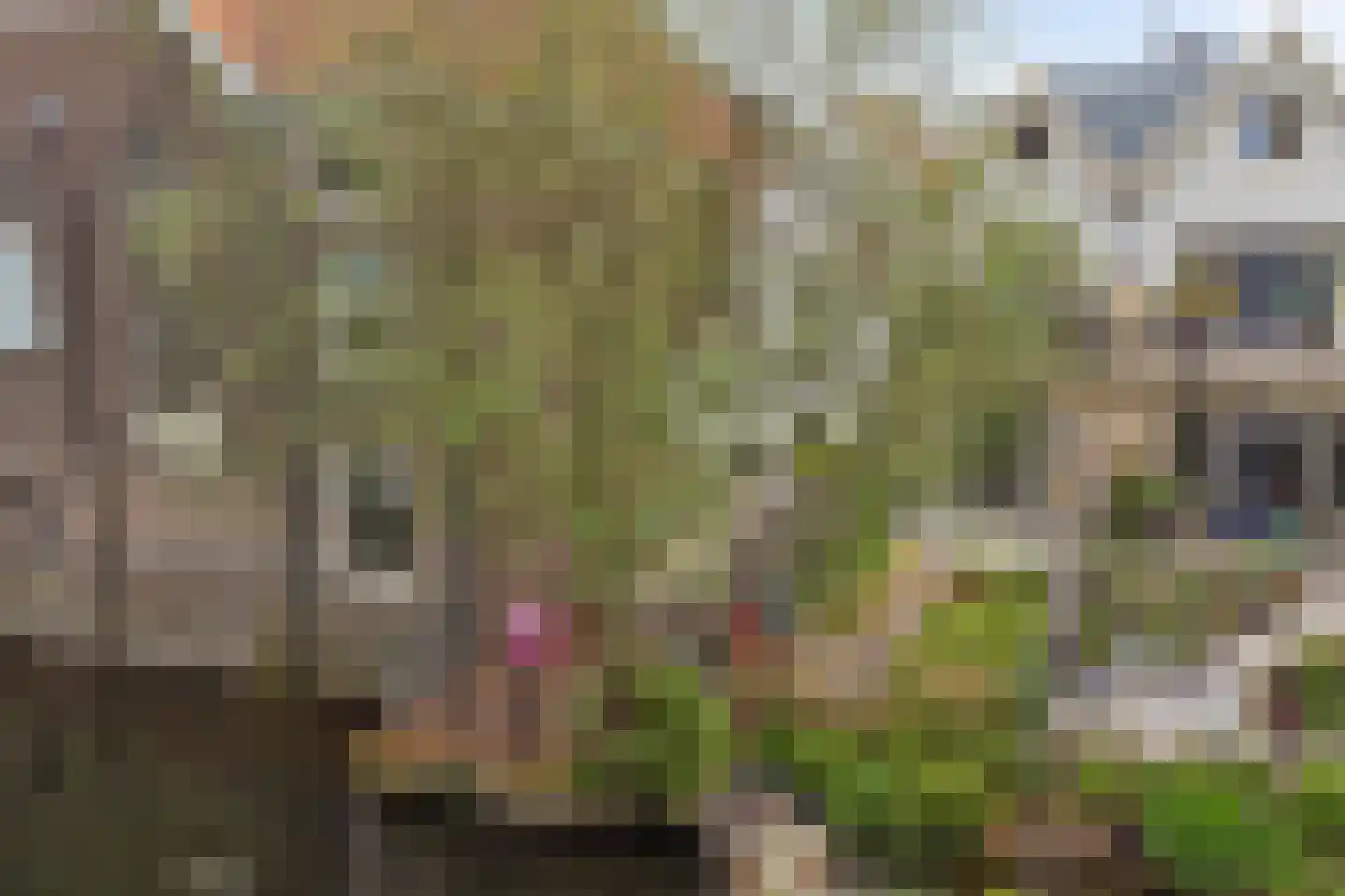 Kromhout 153 Dordrecht thumbnail 55