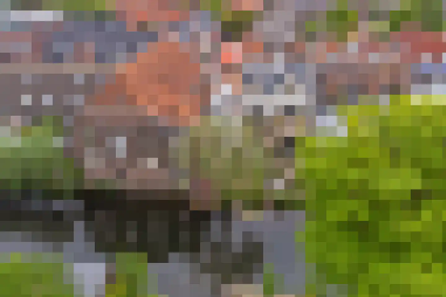 Kromhout 153 Dordrecht thumbnail 57