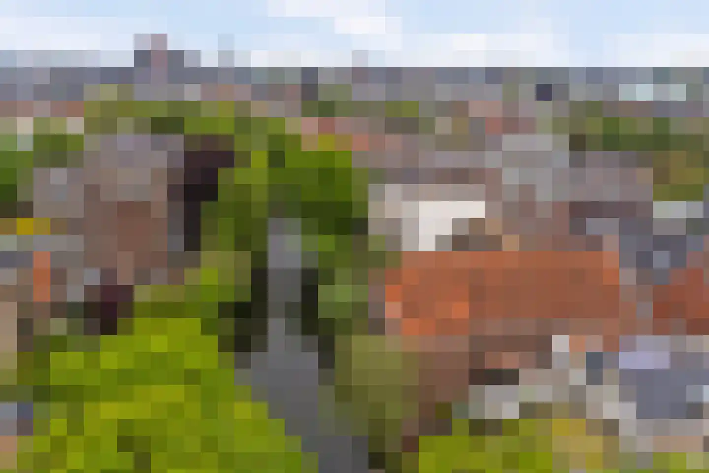 Kromhout 153 Dordrecht thumbnail 58