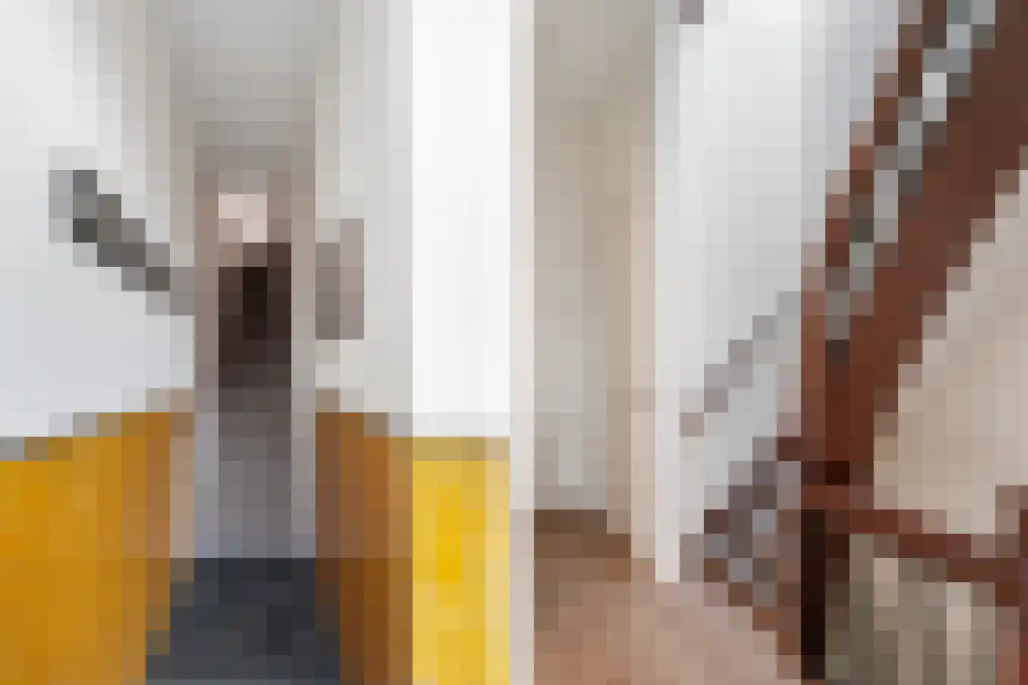 Kromhout 21 Dordrecht thumbnail 4