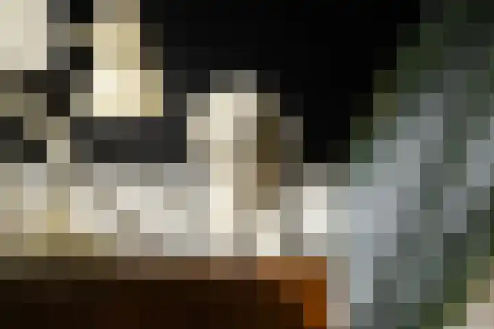 Kromhout 27 Dordrecht thumbnail 21