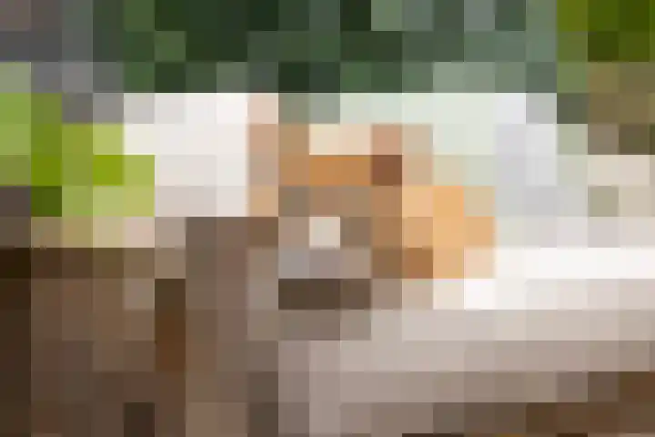 Kromhout 27 Dordrecht thumbnail 27