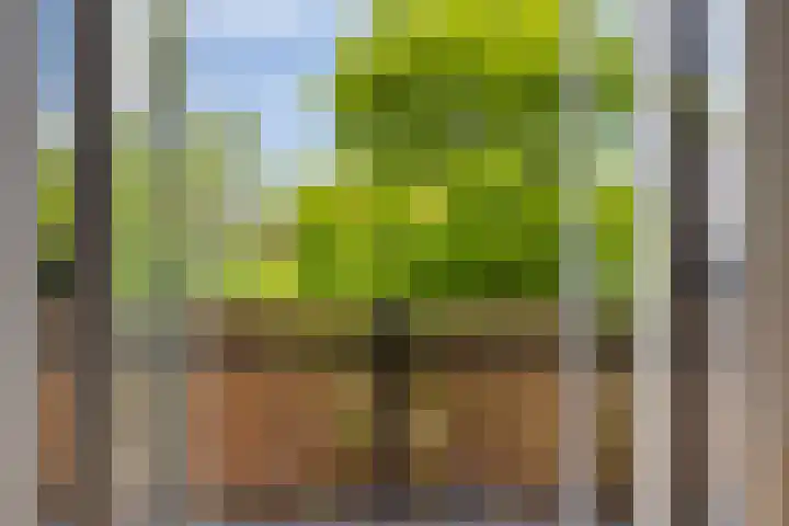 Kromhout 27 Dordrecht thumbnail 44
