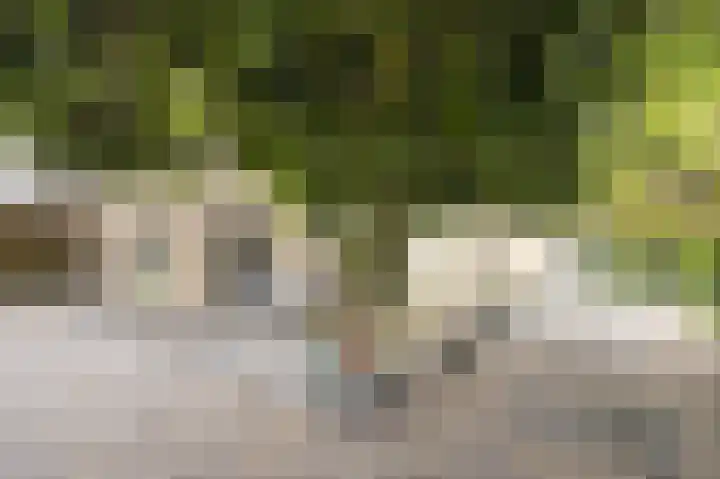 Kromhout 27 Etten-Leur thumbnail 43