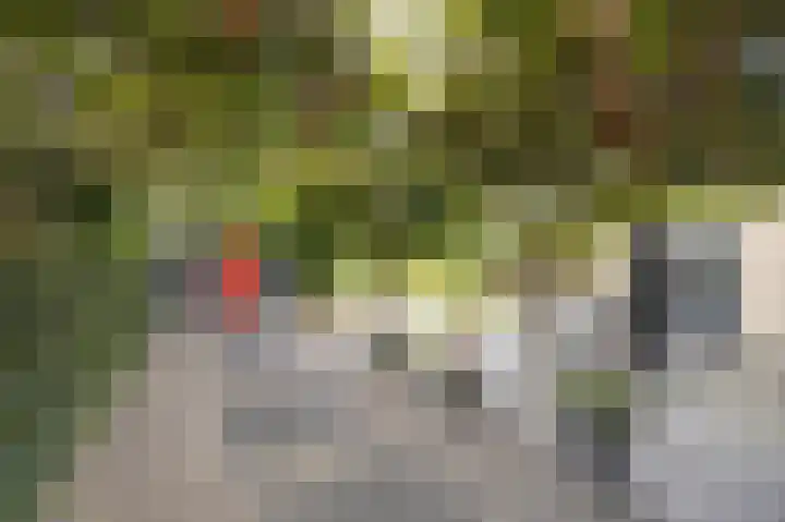 Kromhout 27 Etten-Leur thumbnail 46