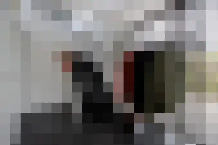 Kromhout 27 Etten-Leur thumbnail 6