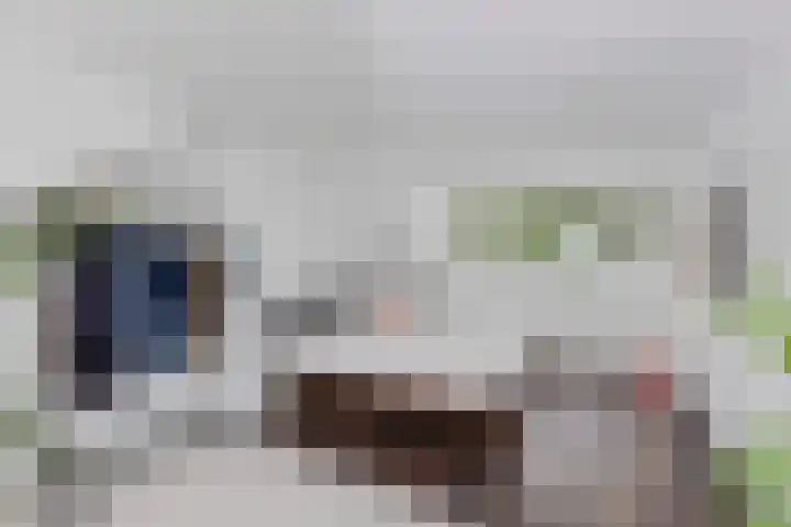 Kromhout 41 Dordrecht thumbnail 16