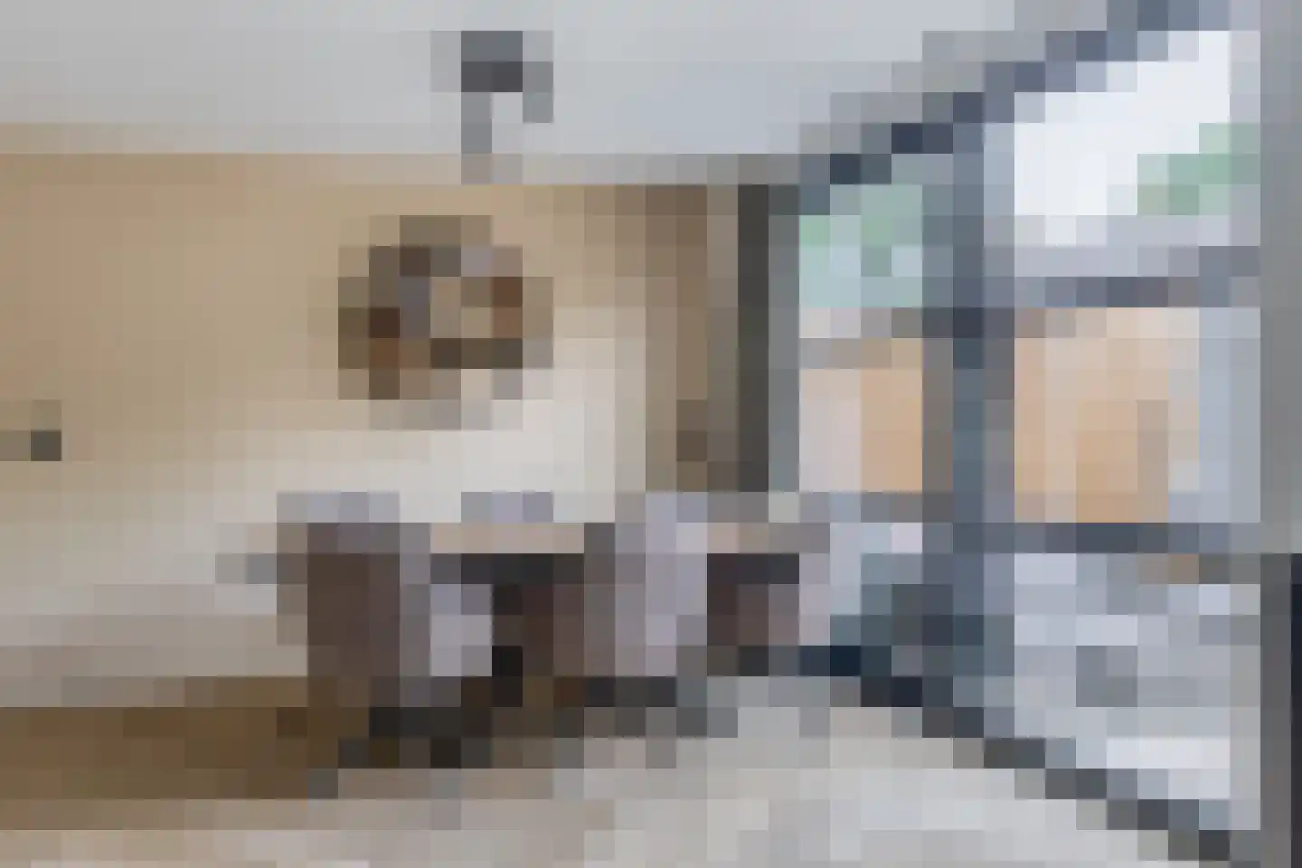 Kromhoutstraat 14 Rotterdam thumbnail 15