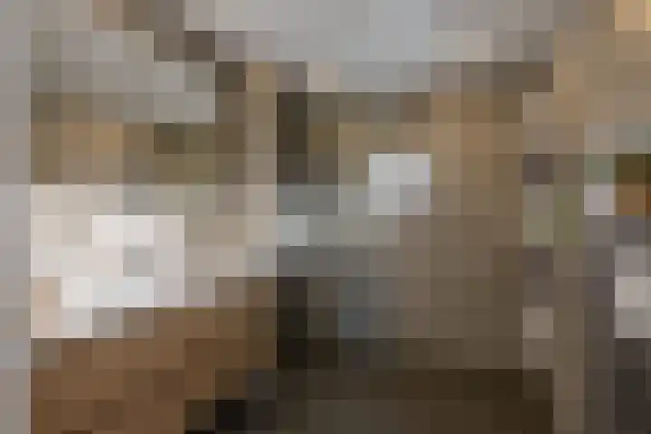 Kromhoutstraat 15 a Groningen thumbnail 33