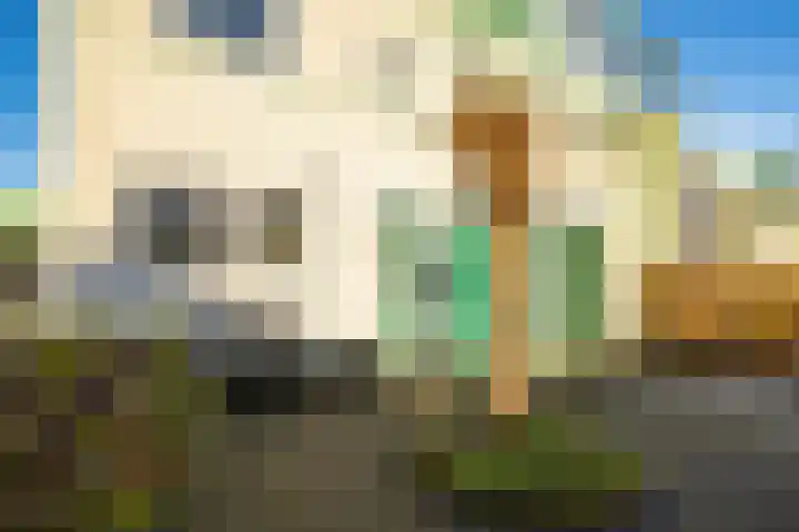 Kromhoutstraat 15 a Groningen thumbnail 9