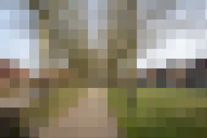 Kromhoutstraat 16 Deventer thumbnail 33