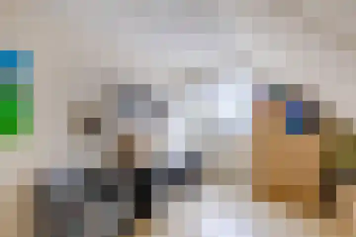 Kromhoutstraat 40 Groningen thumbnail 50