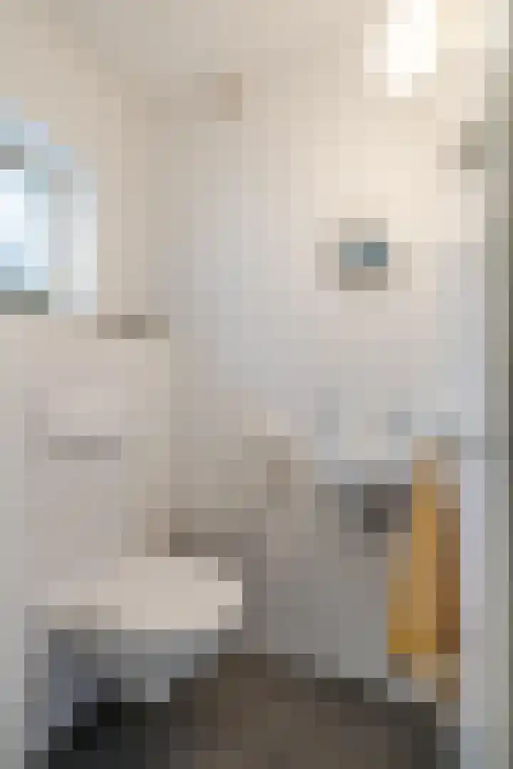 Kromhoutstraat 40 Groningen thumbnail 9