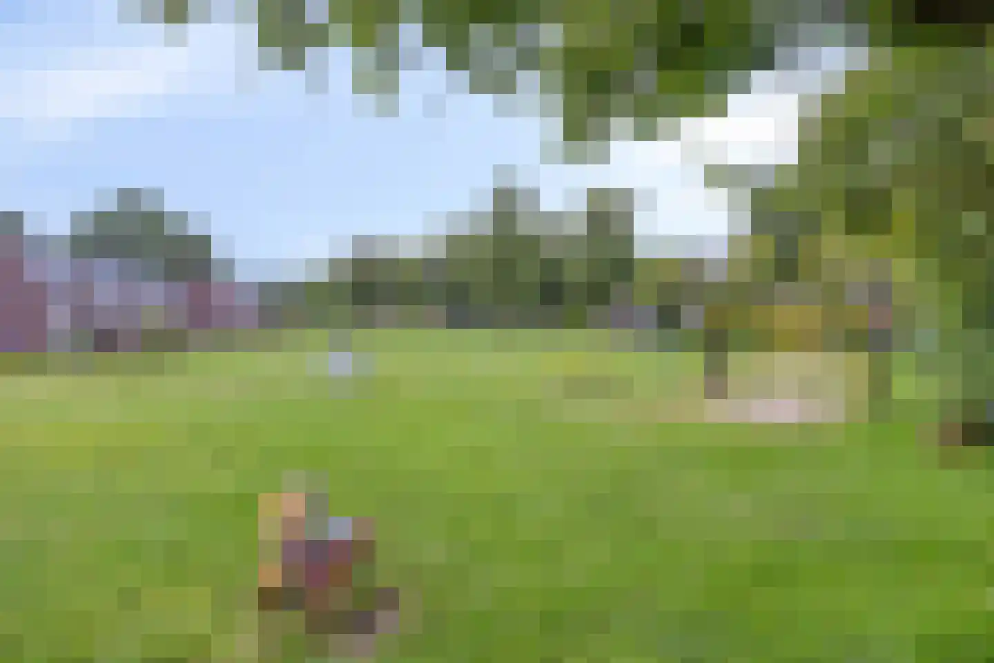 Kromkampen 12 Annen thumbnail 64
