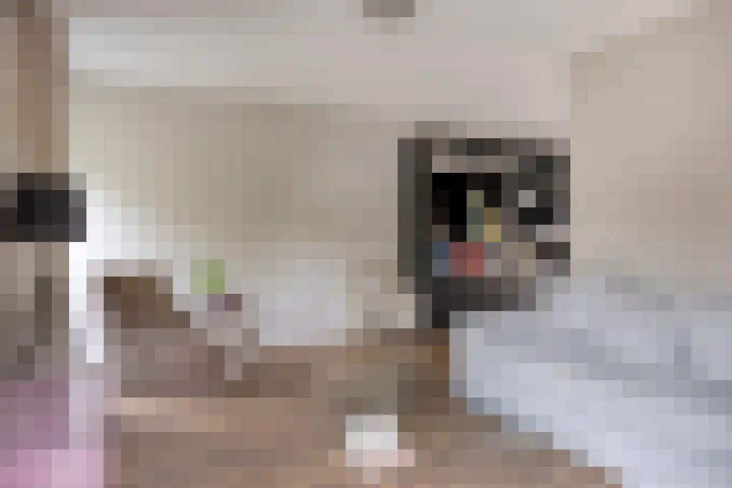 Kromland 13 B Ravenstein thumbnail 13