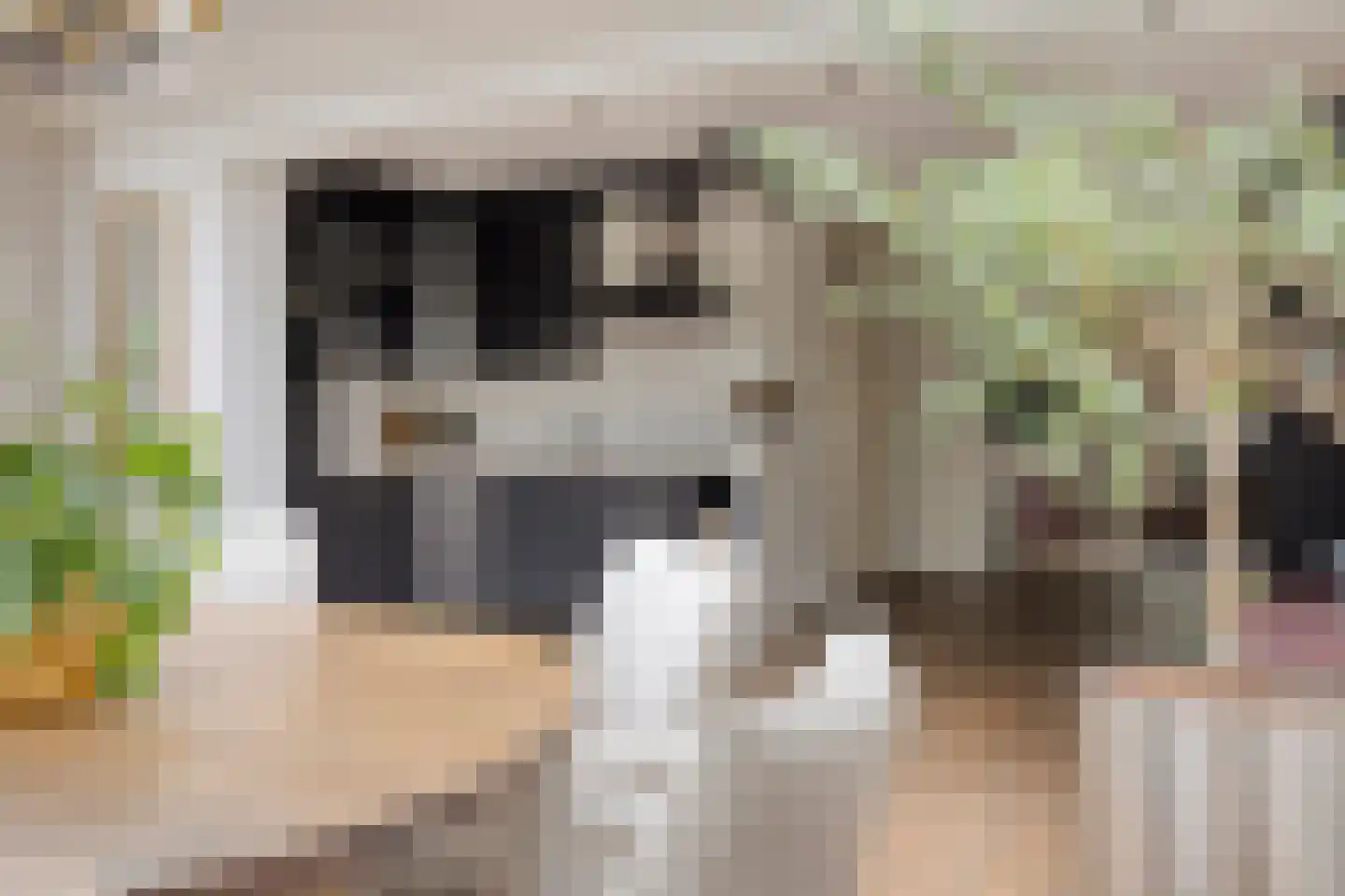 Kromland 13 B Ravenstein thumbnail 18