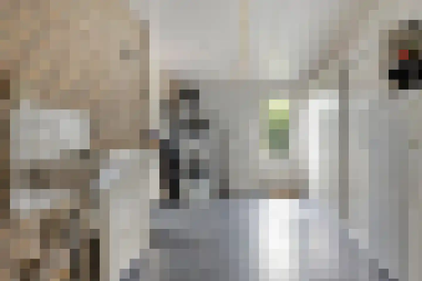 Kromland 13 B Ravenstein thumbnail 19