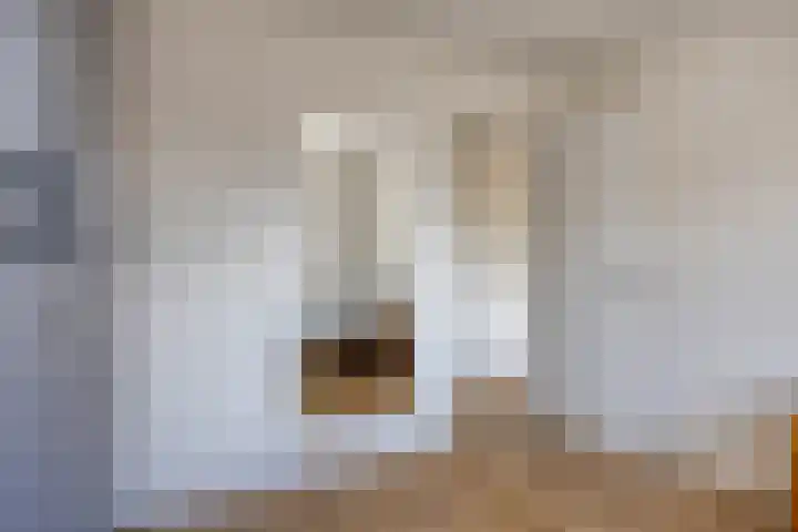 Kromlandt 10 Beugen thumbnail 30