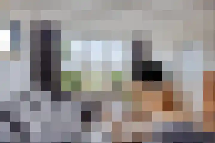 Kromlandt 18 Beugen thumbnail 13