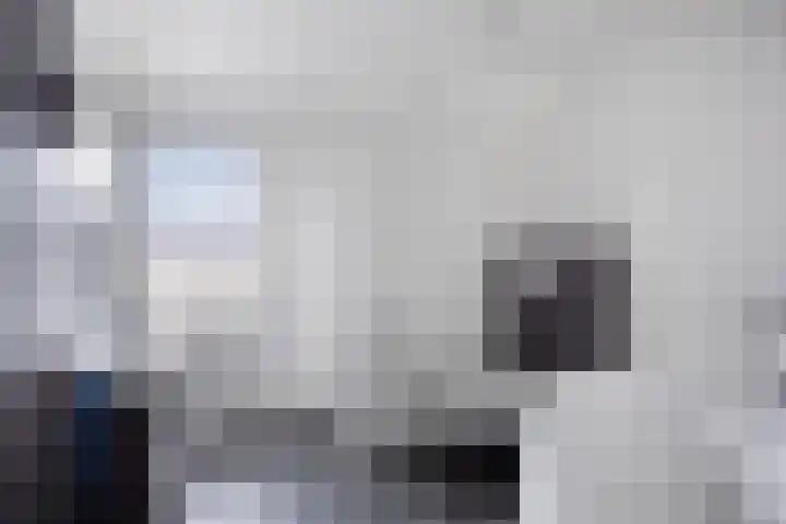 Kromlandt 18 Beugen thumbnail 32