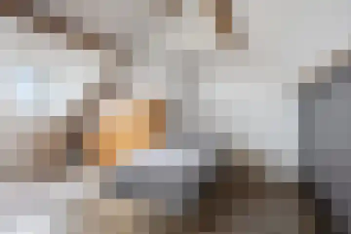 Kromlandt 18 Beugen thumbnail 39