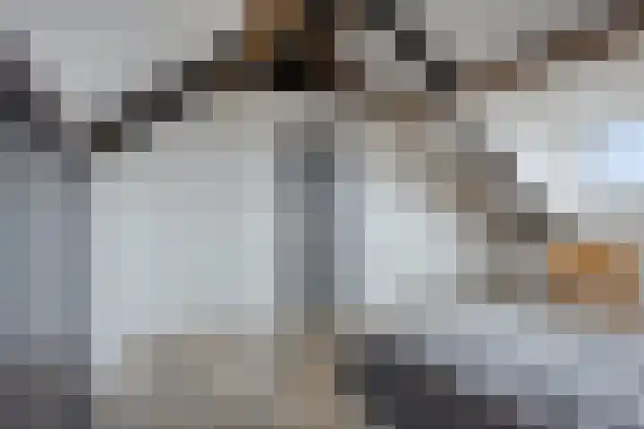 Kromlandt 18 Beugen thumbnail 41
