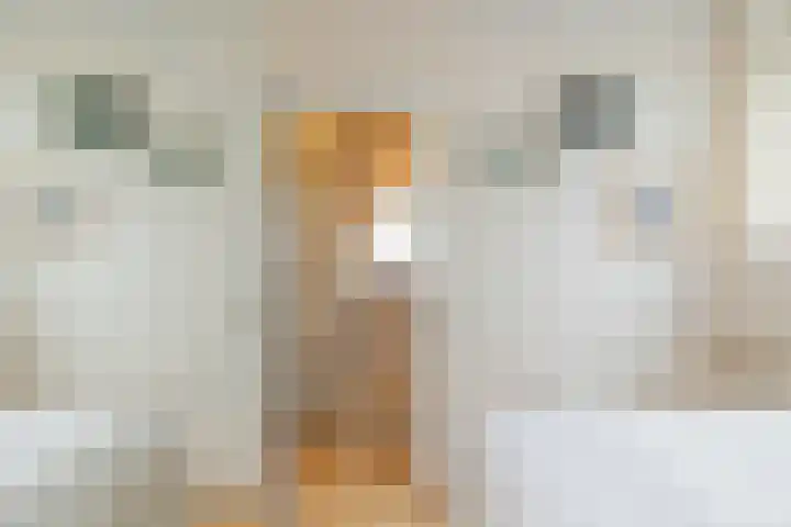 Kromme Distelstraat 4 Amsterdam thumbnail 22