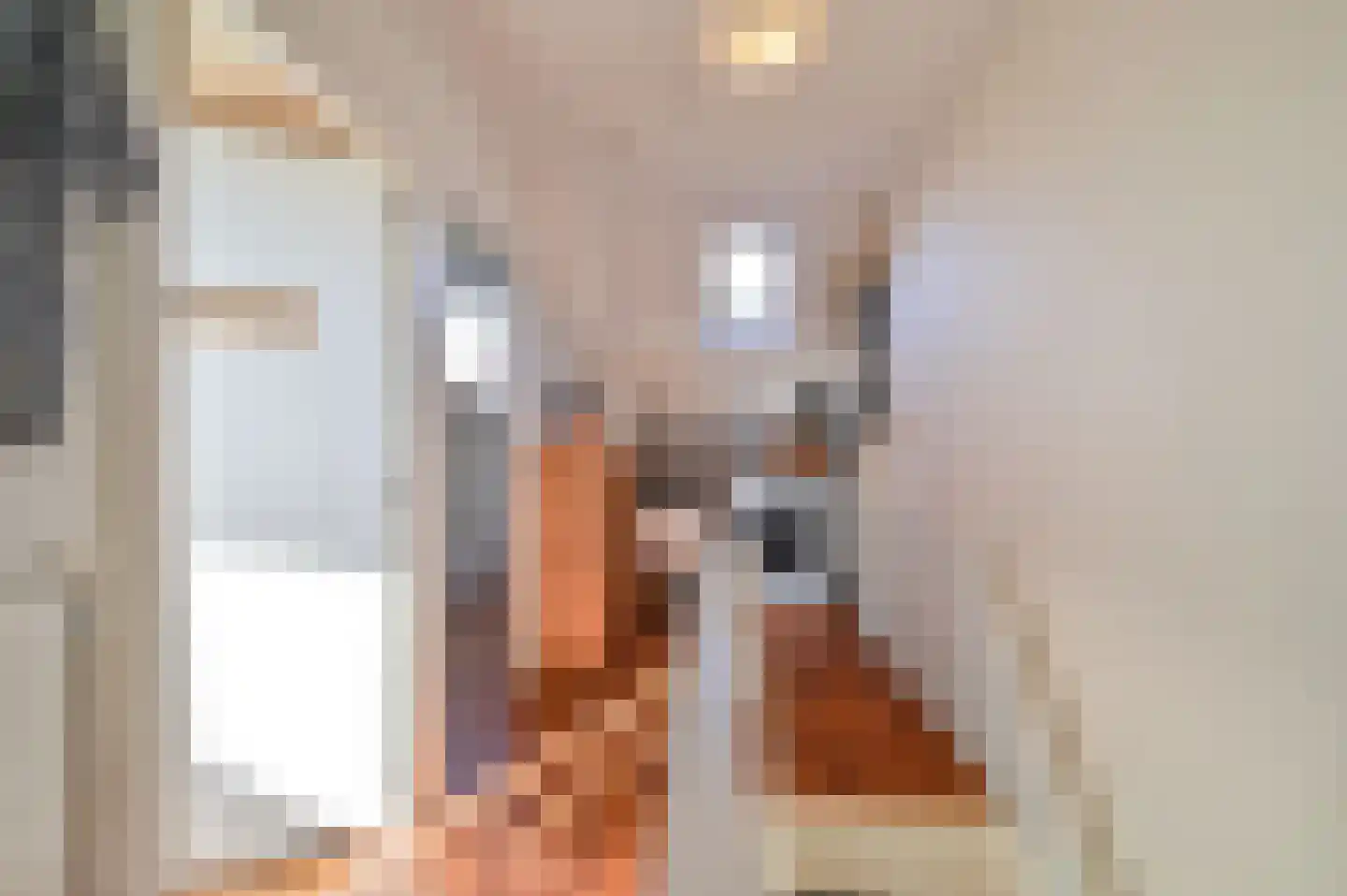 Kromme Distelstraat 7 Amsterdam thumbnail 17